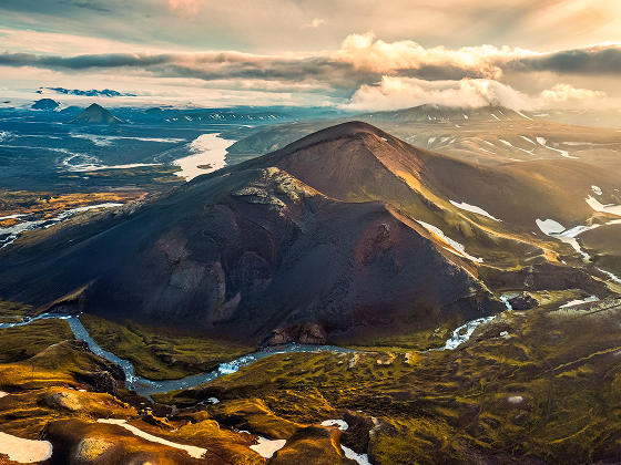 big-trees-in-the-forest-2024-09-23-01-00-30-utc 1