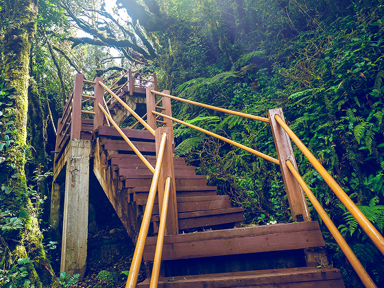 old-wooden-stairs-2023-11-27-05-12-47-utc 1