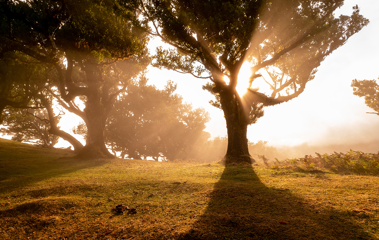 wave-and-sail-yacht-on-the-sea-as-a-background-s-2025-03-08-19-57-13-utc 3